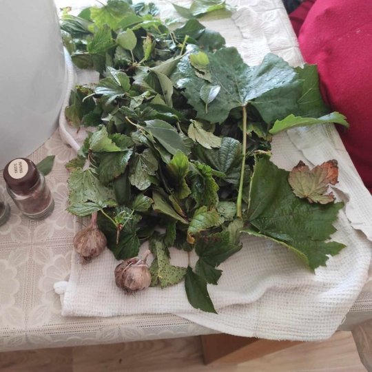 Iliustracija