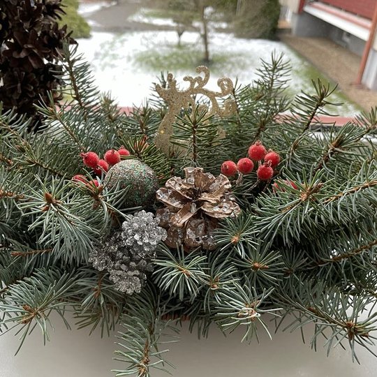 Iliustracija