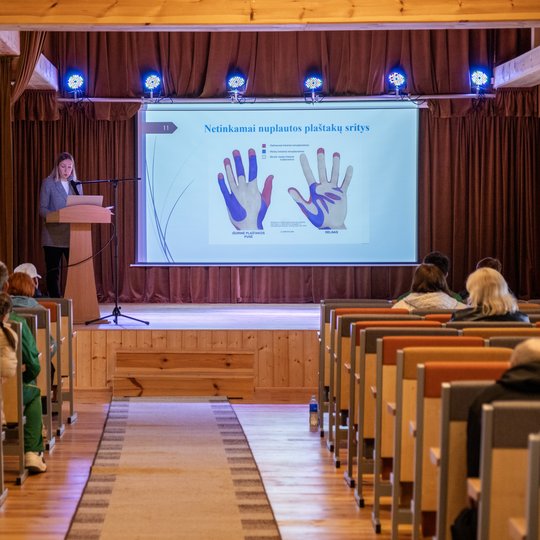 Iliustracija